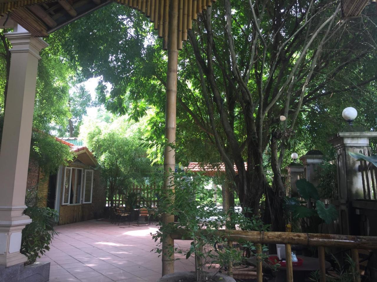 Tam Coc Green Fields Homestay Ninh Binh Buitenkant foto