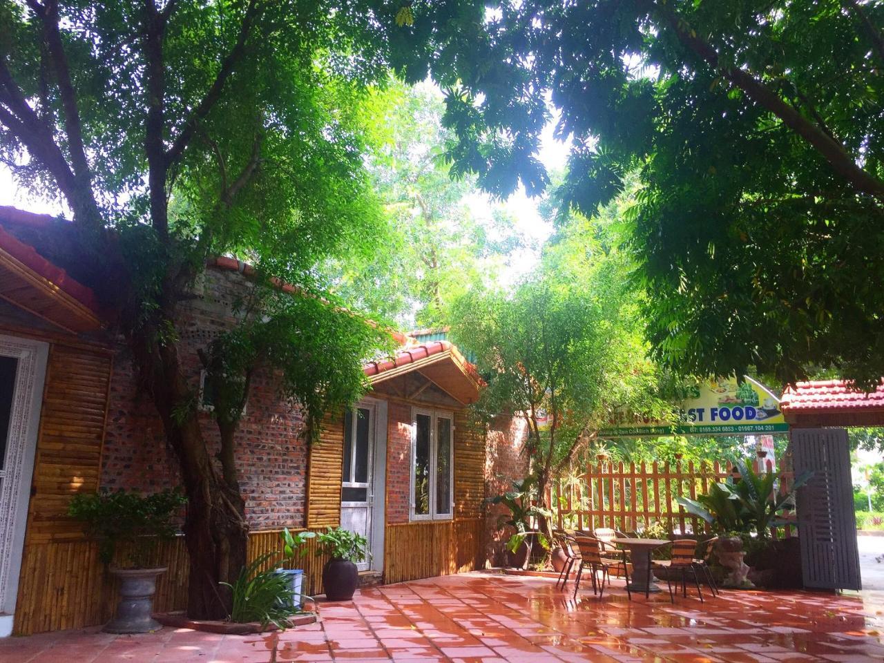 Tam Coc Green Fields Homestay Ninh Binh Buitenkant foto